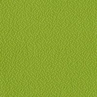 Office Crepe 619352 Aceituna